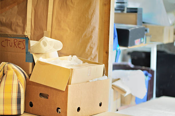 Best Junk Removal for Businesses  in Brighton, CO